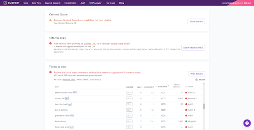 Surfer -Content Audit
